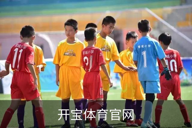开宝体育官网